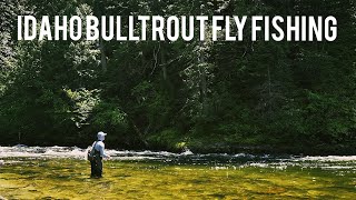 Fishing for one of Idaho's most ELUSIVE fish | Bull Trout FlyFishing