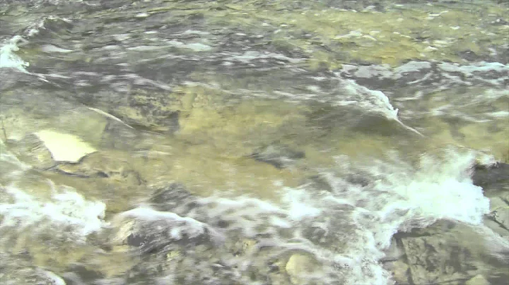 Fight the Bite!  Stop West Nile!