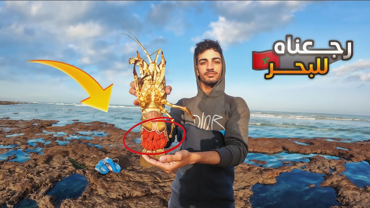 لقينا أغلى وأندر كائن فالبحر ولكن الفرحة مكملاتش ورجعناه للبحر. 🎣🦞