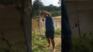 Strike Patin Sg Batang Berjuntai