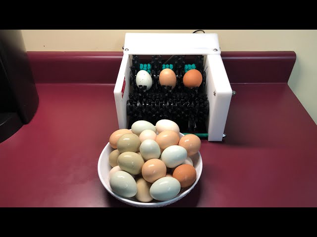 The Little Egg Scrubber - quick demo washing eggs 