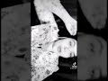البت فرسه 