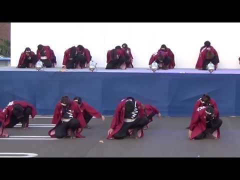 香川大学よさこい連”風華” 銭形よさこい2017 ステージ会場