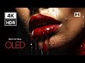 REAL OLED Dolby Vision Demo in 4K HDR 60FPS | Ultra HD Master Display Test