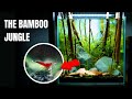 Creating a unique rare shrimp tank using bamboo aquascape tutorial