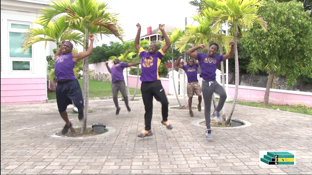 Ministry of Health Steps Survey