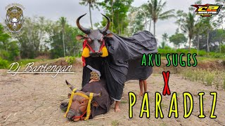 DJ BANTENGAN ( AKU SUGES X PARADIZ ) SURO MENGGOLO enak buat jogetan by c2 revolution