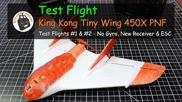 Test Flight - King Kong / LDARC Tiny Wing 450X - No Gyro, New Receiver & ESC - Oh Yeah!