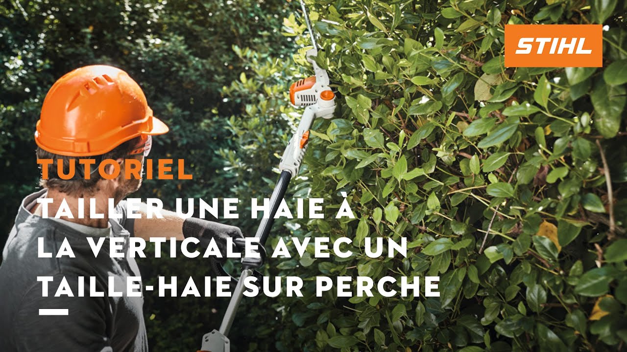 Tutoriel taille-haie n° 3 – Tailler une haie à la verticale avec un taille-haie sur perche