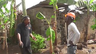 Pa Ben Comedy Ft Pery Jay - De Terrorist-