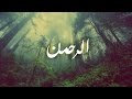 Surah Rahman - Mishary Rashid Al Afasy سورة الرحمن - مشاري العفاسي