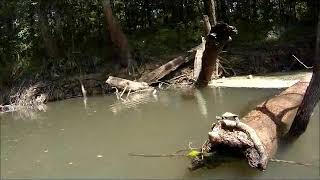 Florida Caverns State Park/Chipola River June 2014