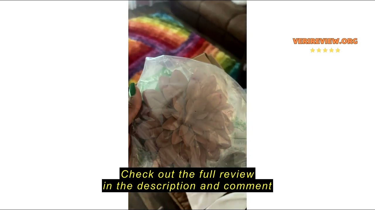 Review Everydecor Succulent Hanging Wall Decor - Green, Hand Painted, 3D Metal Flower Art for Living