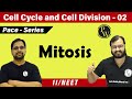 Cell Cycle and Cell Division 02 -  Mitosis | Class 11 | CBSE | NCERT | NEET