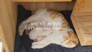 샛별 - 해가 지는 게 섭섭해(Let's play more together)(Royalty Free Music)