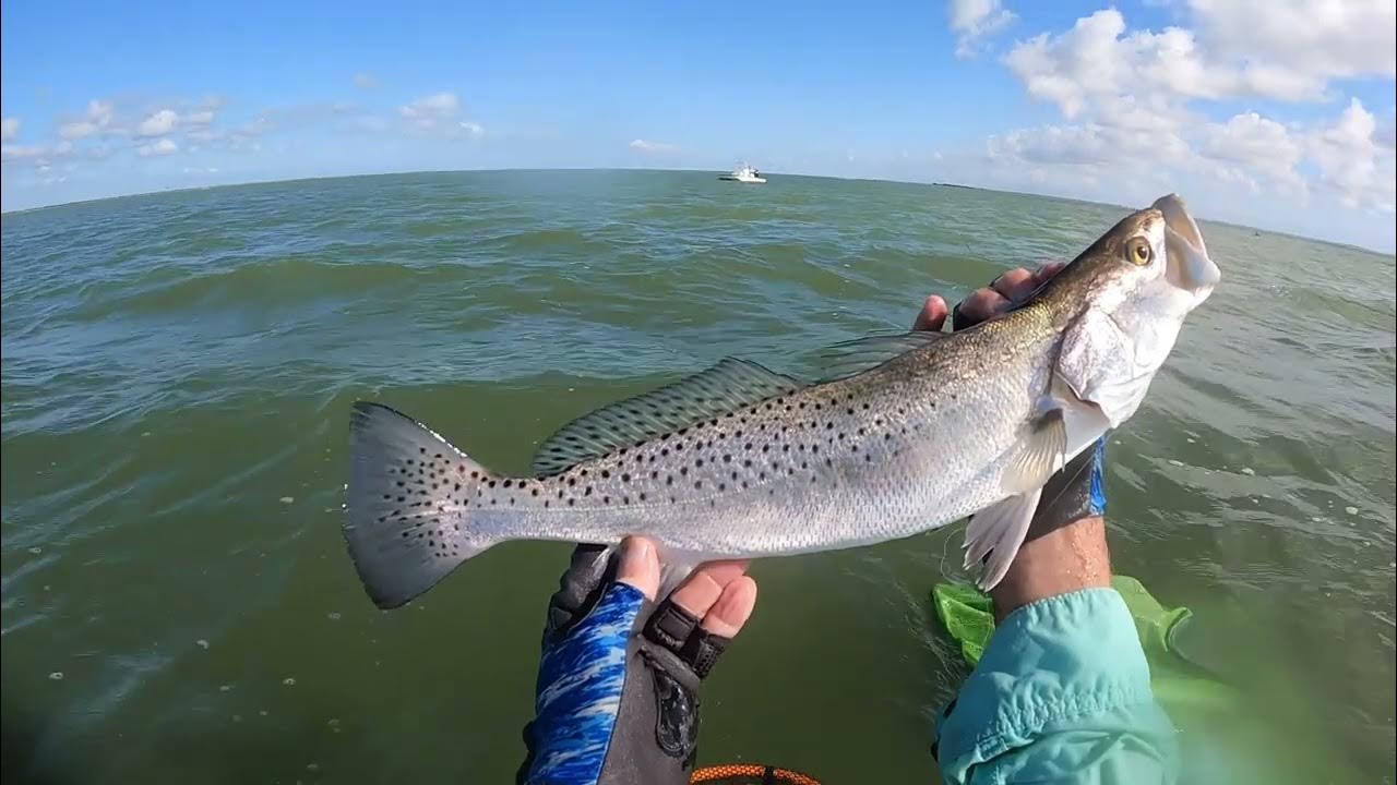 Port Mansfield Trout and Flounder Tips YouTube