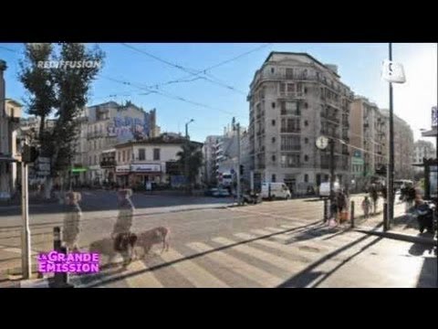 A la découverte des 5 avenues (Marseille)