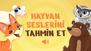 Sesinden Hayvanı Tahmin Et Oyunu | Ses Testi | Sesi Tahmin Et Oyunu screenshot 5