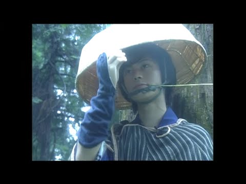 氷川きよし / 箱根八里の半次郎【公式】