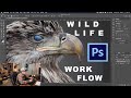 WILDLIFE PHOTOGRAPHY | My Workflow Post-Print