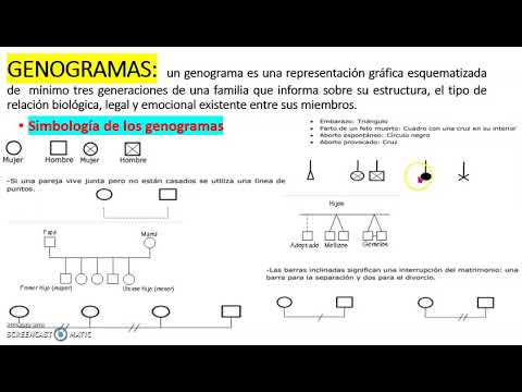 Video: ¿Qué significan los símbolos en un cuadro genealógico?