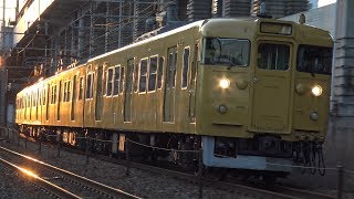 【4K】JR山陽本線　普通列車113系電車　ｵｶB-08編成