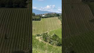 #landscapepainting #pleinairpainting #travelsketch #shorts_video #oilpaintingprocess #