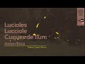 Capture de la vidéo Lucioles, Lucciole, Cuques De Llum [Fireflies], By Anton Roca - Online Performance