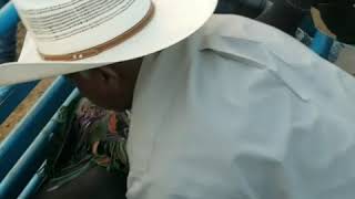 Pembroke Rodeo 2017