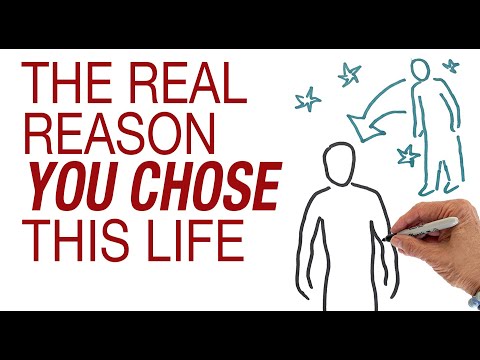 The Real Reason You Chose This Life. Escape the Cycle of Reincarnation. by Hans Wilhelm