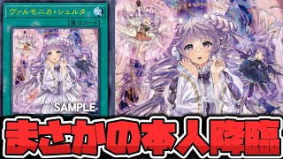 遊戯王　ヴァルモニカ・シェルタ