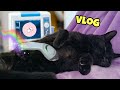 CAMI DEVE ANDARE DALLA GINECOLOGA! È INCINTA O NO?! 🐈‍⬛🤫💗 vlog