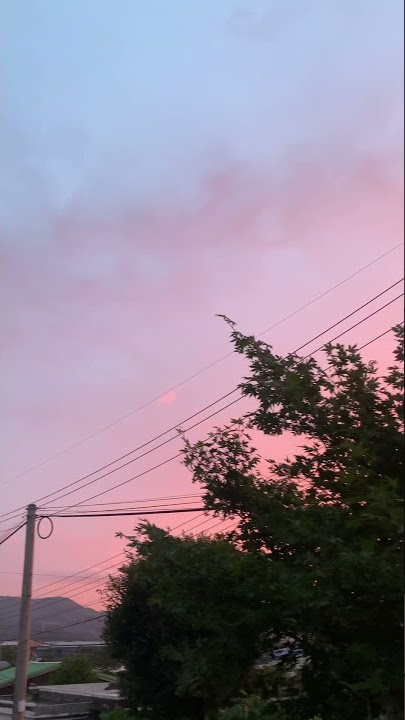 SENJA DI KOREA SELATAN | MUSIM DINGIN KOREA | SORE HARI YANG CERAH #shorts