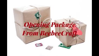 Opening Package from BeebeeCraft