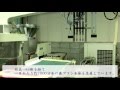 艶白 製造工程