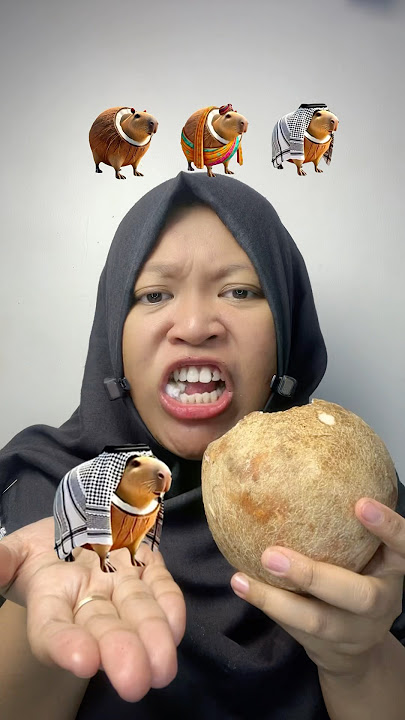 Lagu burbaniloli versi original,india dan arab #shorts #brainrot  #funny