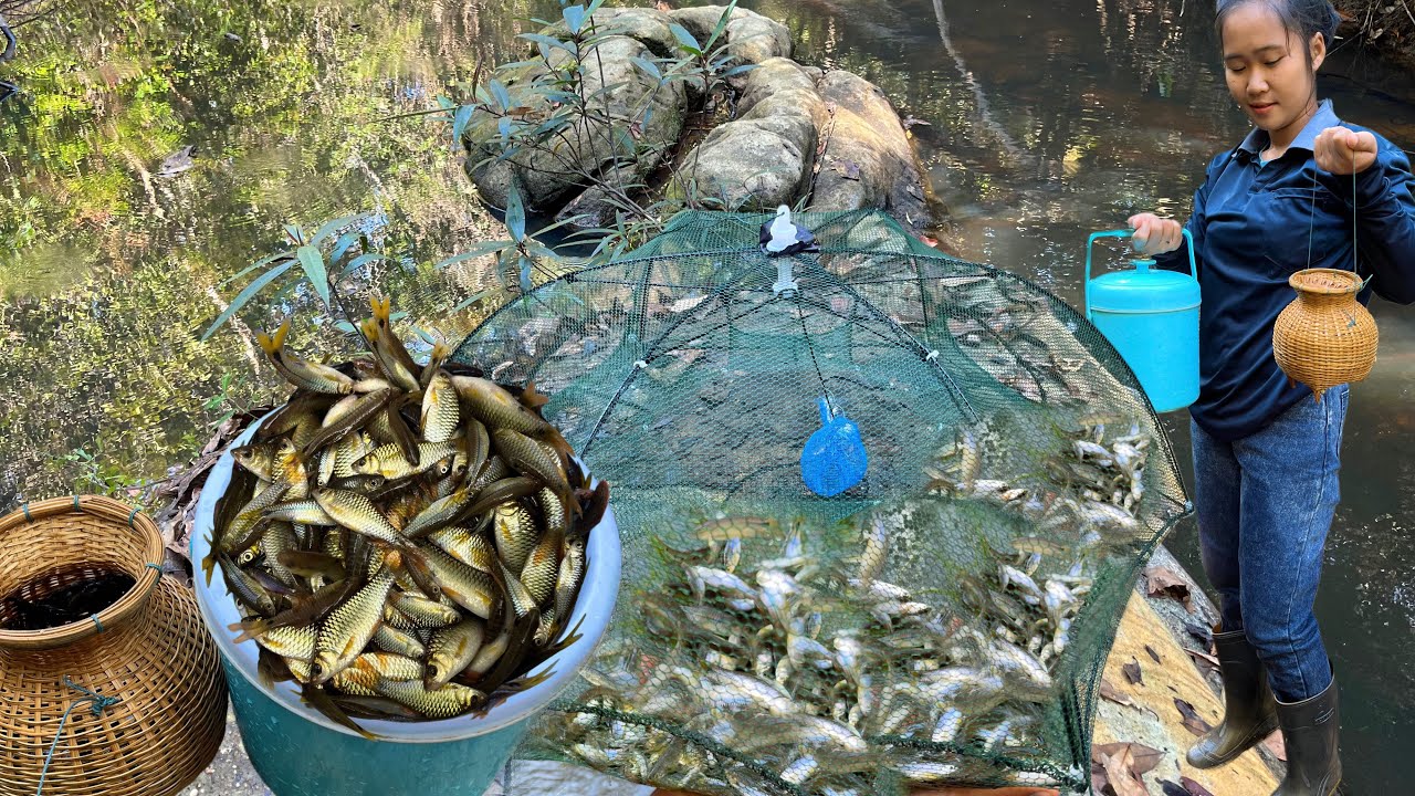 ป๊าดๆๆปลาเข้ามุ้งเยอะมาก หมานเกือบเต็มกะติกจ้า31/ม.ค/2569