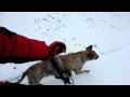 Zulu biking in the snow