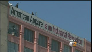 American Apparel Making A Comeback