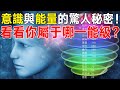 【修行天機】意識與能量的驚人秘密！看看你到底屬於哪一能級？