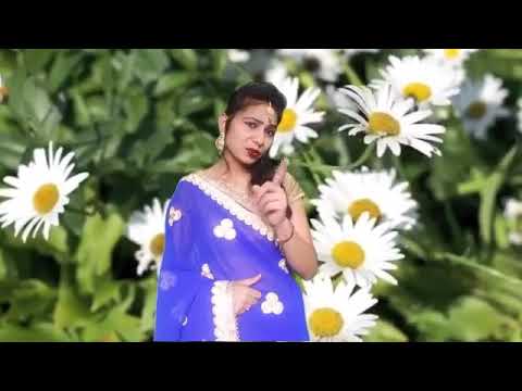 Hindi Saire