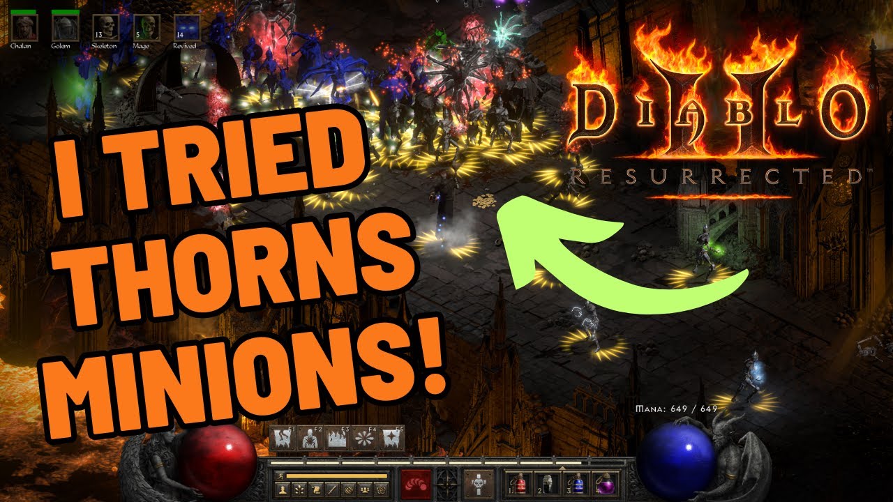 THORNS NECRO IS INSANE Baller on a Budget Summoner Build!