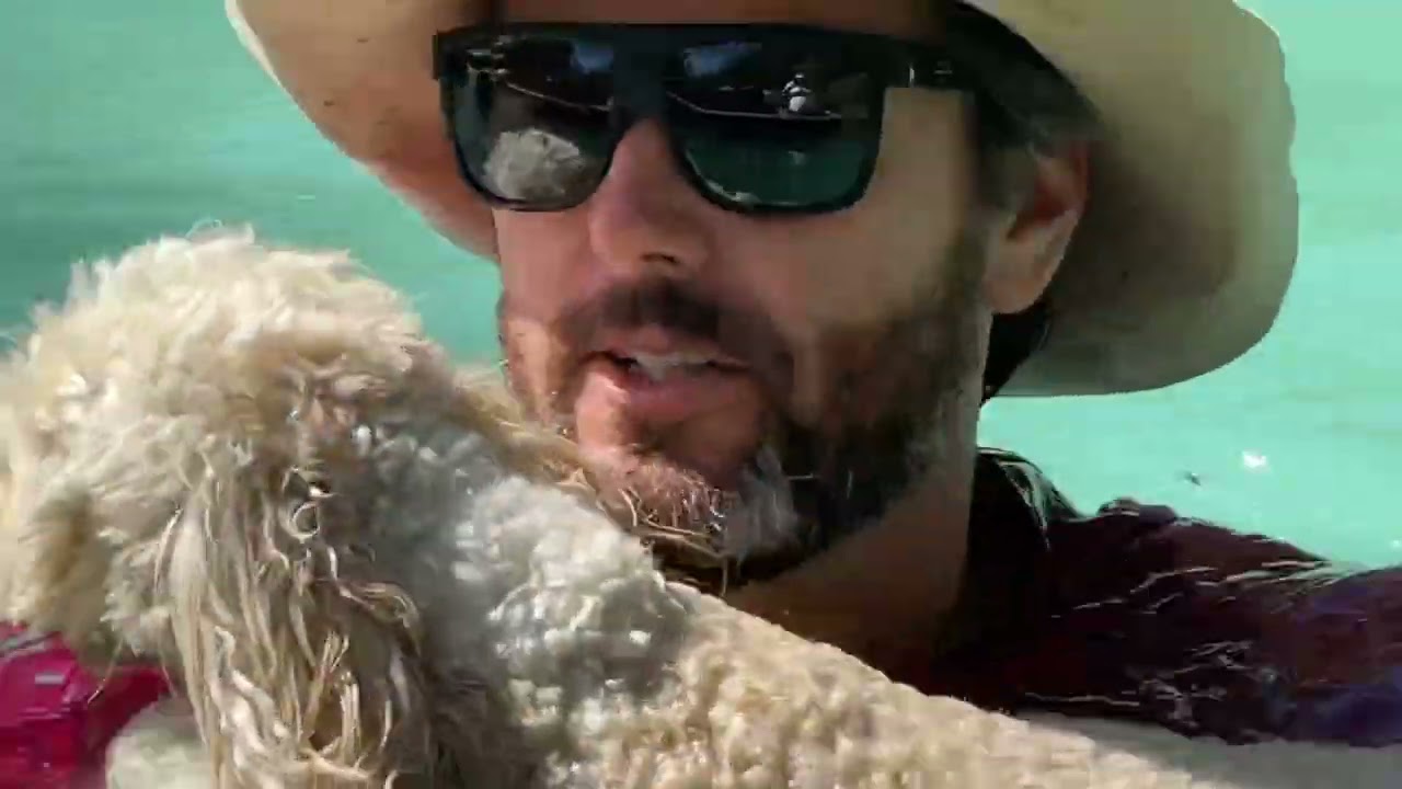 Small Dog Day at the farm