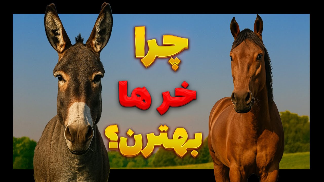 از شیر الاغ تا طب سنتی وعنبرنسار چه چیزی باعث میشه خرها خاص باشن؟