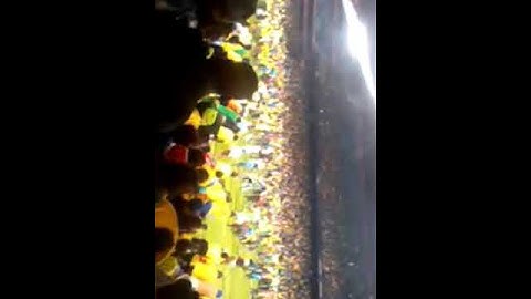 Mamelodi Sundowns wins the league