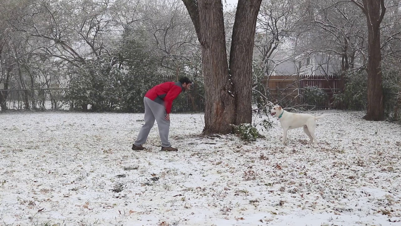 camera iphone 8 plus apk Crumpet Snow Day!