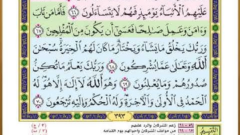 الصفحة ( 393) من القرآن الكريم سورة القصص _ مصحف التقسيم الموضوعي _
