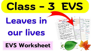 Class 3 Leaves in Our Lives |Leaves Around Us Class 3| Class 3 EVS Worksheet| Class 3rd EVS| Class 3