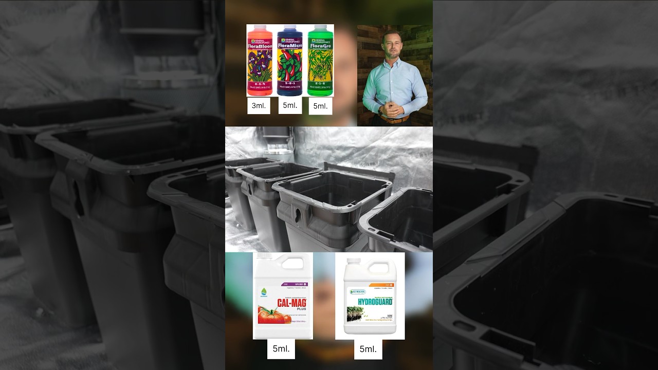 G1.42 (P4): DWC cannabis grow reservoir set up. 