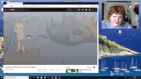 NES9999999kid sings Graystripe x Silverstream AMV- Hymn for the Missing recting crying.